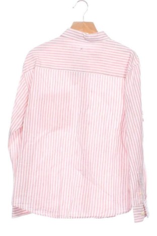 Detská košeľa  Zara, Veľkosť 7-8y/ 128-134 cm, Farba Viacfarebná, Cena  7,95 €