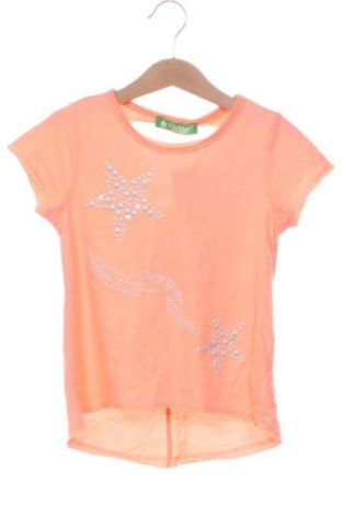Kinder T-Shirt Cichlid, Größe 5-6y/ 116-122 cm, Farbe Rosa, Preis 5,00 €