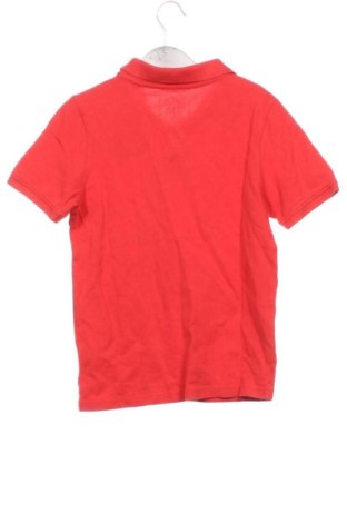 Kinder T-Shirt Palomino, Größe 9-10y/ 140-146 cm, Farbe Rot, Preis 5,75 €