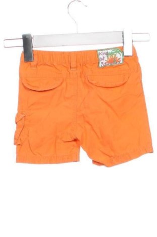 Pantaloni scurți pentru copii Baby Club, Mărime 12-18m/ 80-86 cm, Culoare Portocaliu, Preț 36,97 Lei