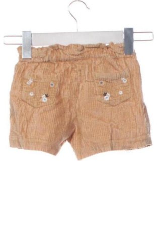 Detské krátke nohavice  Original Marines, Veľkosť 1-2m/ 50-56 cm, Farba Viacfarebná, Cena  10,95 €