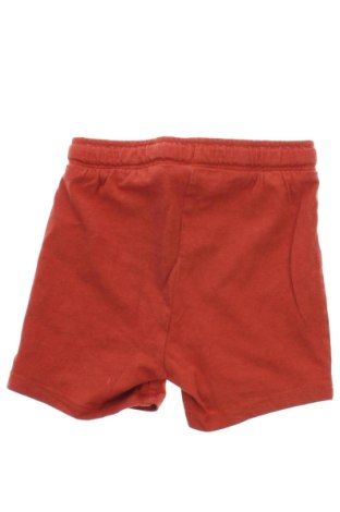 Detské krátke nohavice  Unbranded, Veľkosť 12-18m/ 80-86 cm, Farba Oranžová, Cena  7,10 €