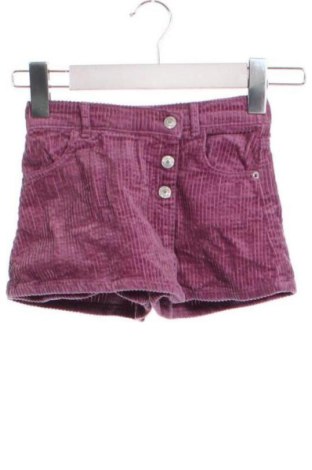 Kinder Shorts Zara, Größe 2-3y/ 98-104 cm, Farbe Lila, Preis 5,99 €