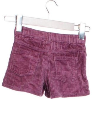 Kinder Shorts Zara, Größe 2-3y/ 98-104 cm, Farbe Lila, Preis 5,99 €