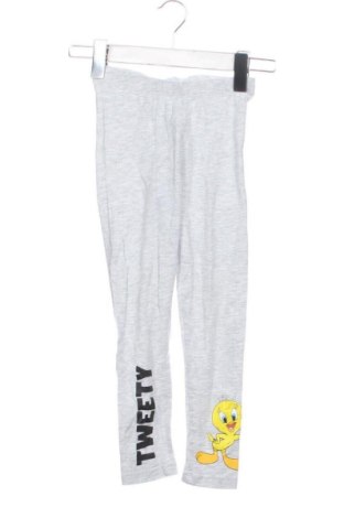 Dziecięce legginsy Looney Tunes, Rozmiar 6-7y/ 122-128 cm, Kolor Kolorowy, Cena 37,99 zł
