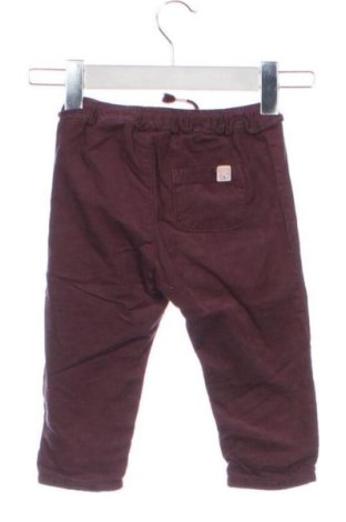 Kinderhose H&M, Größe 9-12m/ 74-80 cm, Farbe Lila, Preis 10,99 €