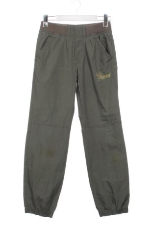 Pantaloni pentru copii Unbranded, Mărime 10-11y/ 146-152 cm, Culoare Verde, Preț 54,82 Lei