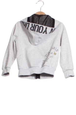 Kinder Sweatshirts Unbranded, Größe 3-4y/ 104-110 cm, Farbe Grau, Preis € 8,99