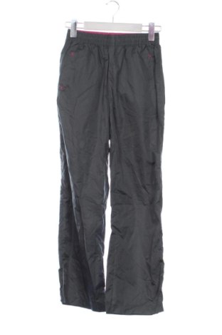 Pantaloni de trening, pentru copii Pocopiano, Mărime 10-11y/ 146-152 cm, Culoare Gri, Preț 79,99 Lei