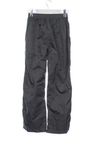 Pantaloni de trening, pentru copii Pocopiano, Mărime 10-11y/ 146-152 cm, Culoare Gri, Preț 79,99 Lei
