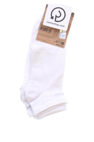 Komplet  Umbro, Veľkosť M, Farba Biela, Cena  9,95 €