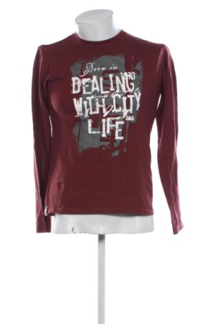 Pánské tričko  Cotton&silk, Velikost M, Barva Vícebarevné, Cena  289,00 Kč
