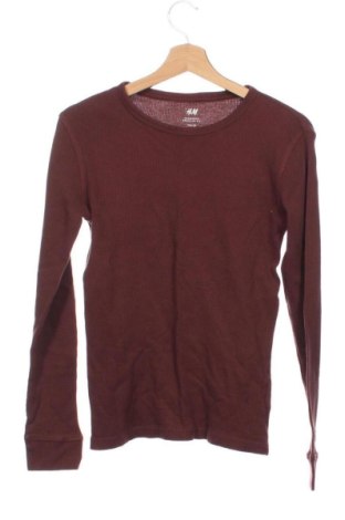 Мъжка блуза H&M, Размер XS, Цвят Кафяв, Цена 9,78 €