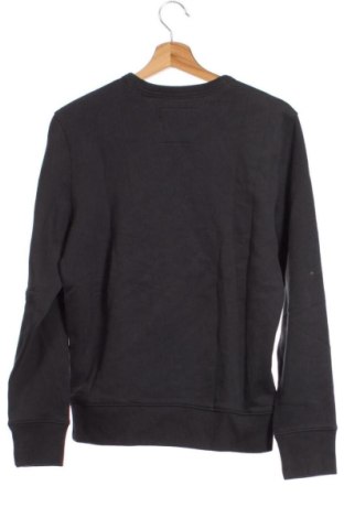 Pánské tričko  Hollister, Velikost XS, Barva Šedá, Cena  1 429,00 Kč