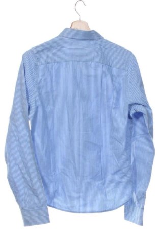 Herrenhemd Hollister, Größe S, Farbe Mehrfarbig, Preis € 17,00