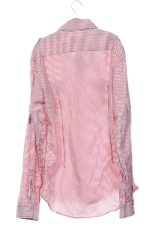 Herrenhemd Zara, Größe L, Farbe Mehrfarbig, Preis 17,00 €