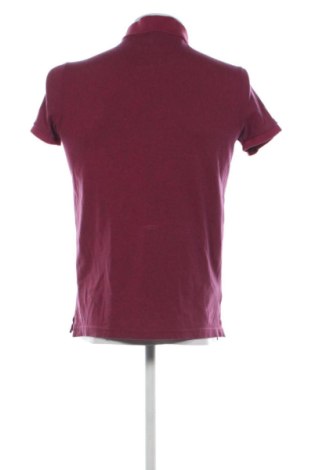 Мъжка тениска Hollister, Размер S, Цвят Многоцветен, Цена 10,00 €