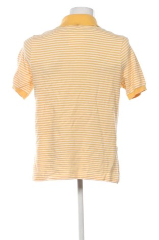 Ανδρικό t-shirt Lacoste, Μέγεθος L, Χρώμα Πολύχρωμο, Τιμή 50,81 €