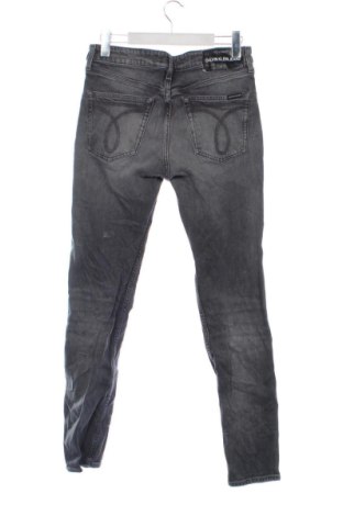 Ανδρικό τζίν Calvin Klein Jeans, Μέγεθος S, Χρώμα Γκρί, Τιμή 42,99 €