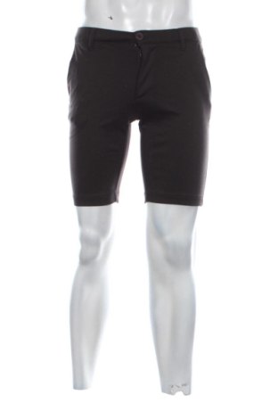 Pánske kraťasy  Perform Collection, Veľkosť M, Farba Hnedá, Cena  18,95 €