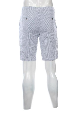 Herren Shorts Piombo, Größe L, Farbe Mehrfarbig, Preis € 27,99