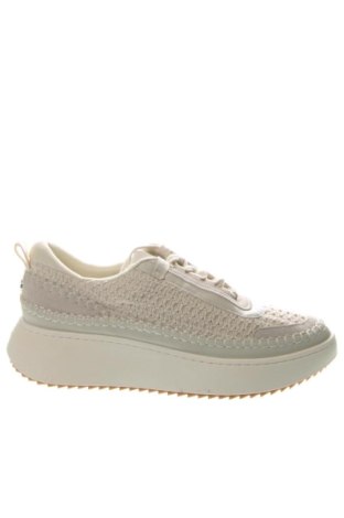 Ανδρικά παπούτσια Steve Madden, Μέγεθος 44, Χρώμα Πολύχρωμο, Τιμή 127,99 €