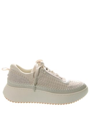 Pánske topánky Steve Madden, Veľkosť 43, Farba Kremová, Cena  114,95 €