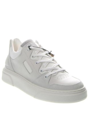 Ανδρικά παπούτσια Steve Madden, Μέγεθος 42, Χρώμα Πολύχρωμο, Τιμή 127,99 €
