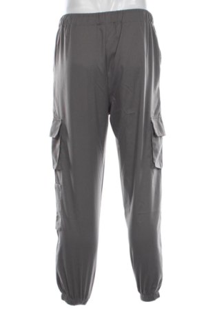 Herrenhose Manfinity, Größe L, Farbe Grau, Preis 24,55 €