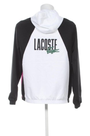 Herrenjacke Lacoste, Größe L, Farbe Mehrfarbig, Preis 77,99 €