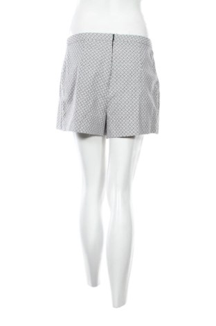 Fustă-pantalon Miss Selfridge, Mărime M, Culoare Multicolor, Preț 66,16 Lei