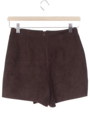 Παντελονόφουστα Zara, Μέγεθος XS, Χρώμα Καφέ, Τιμή 10,17 €