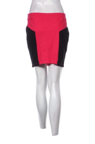 Fustă Ann Christine, Mărime L, Culoare Multicolor, Preț 36,78 Lei