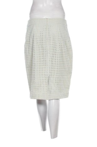 Fustă Ann Taylor, Mărime L, Culoare Albastru, Preț 127,99 Lei