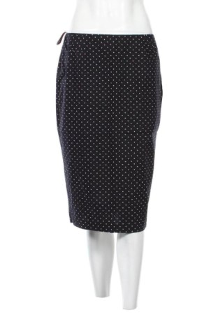 Sukňa Dorothy Perkins, Veľkosť L, Farba Viacfarebná, Cena  14,00 €