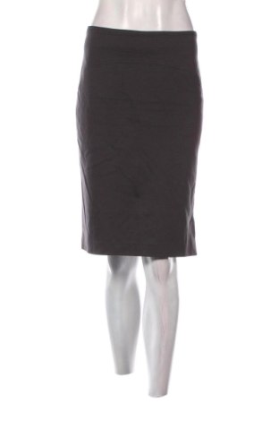 Φούστα Luisa Cerano, Μέγεθος L, Χρώμα Γκρί, Τιμή 28,00 €