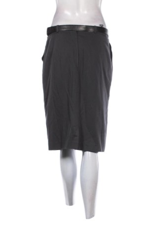 Rock Surprise, Größe L, Farbe Grau, Preis € 12,00