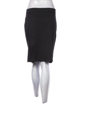 Fustă Tina R, Mărime L, Culoare Multicolor, Preț 51,00 Lei