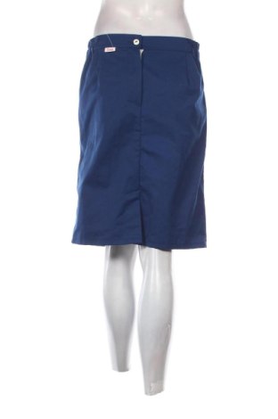 Φούστα Unbranded, Μέγεθος M, Χρώμα Μπλέ, Τιμή 10,00 €