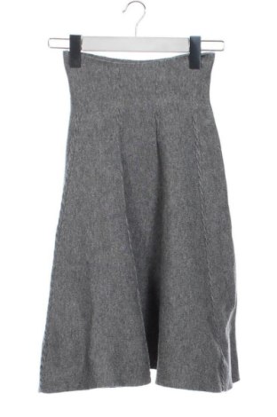 Fustă Unbranded, Mărime XS, Culoare Gri, Preț 52,13 Lei