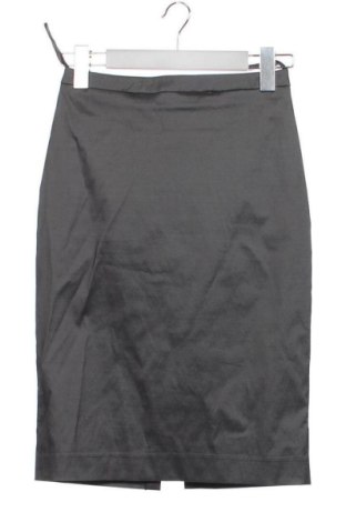 Φούστα Unbranded, Μέγεθος XXS, Χρώμα Γκρί, Τιμή 10,00 €