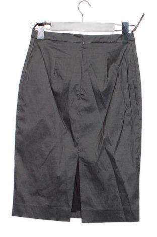 Φούστα Unbranded, Μέγεθος XXS, Χρώμα Γκρί, Τιμή 10,00 €