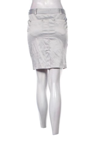 Φούστα Unbranded, Μέγεθος M, Χρώμα Γκρί, Τιμή 10,00 €