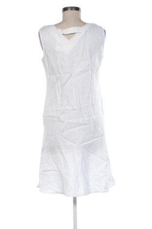Kleid Betty Barclay, Größe M, Farbe Weiß, Preis 113,17 €