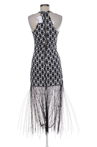 Kleid Calzedonia, Größe S, Farbe Mehrfarbig, Preis 55,22 €