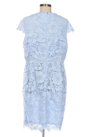 Kleid Comma,, Größe XL, Farbe Blau, Preis 42,01 €