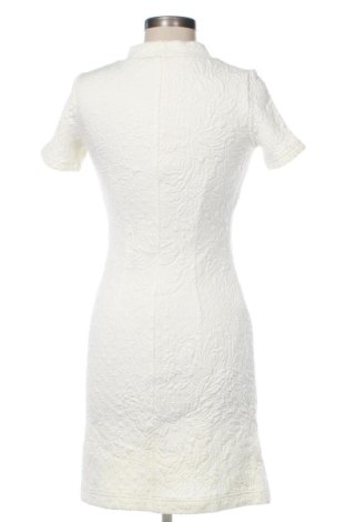 Šaty  Daphne, Veľkosť S, Farba Kremová, Cena  20,00 €