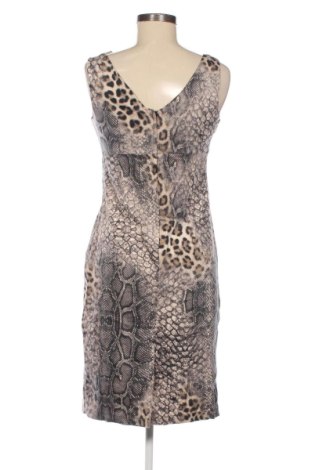 Kleid Dorothy Perkins, Größe M, Farbe Mehrfarbig, Preis 37,40 €