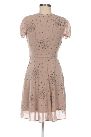 Kleid Dorothy Perkins, Größe M, Farbe Braun, Preis 37,40 €