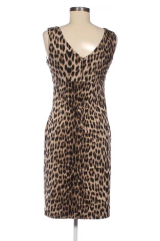 Kleid Dorothy Perkins, Größe M, Farbe Mehrfarbig, Preis 37,40 €